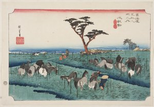 Chiry? Early Summer Horse Fair (Chiry?, shuka uma ichi) (impressão em bloco de madeira colorida) de Ando or Utagawa Hiroshige