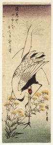 Guindaste com mostarda selvagem (impressão a cores de bloco de madeira) de Ando or Utagawa Hiroshige