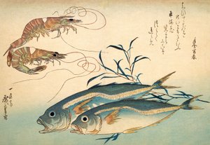 Carapau japonês e camarão tigre japonês (impressão woodblock de cor) de Ando or Utagawa Hiroshige