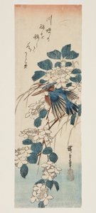 Kingfisher e Viburnum (impressão a cores em bloco de madeira) de Ando or Utagawa Hiroshige