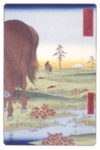 Planície de Kogane na província de Shim?sa (Shim?sa Koganegahara) (impressão em bloco de madeira a cores) de Ando or Utagawa Hiroshige