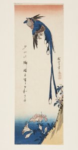 Magpie e Azalea (impressão a cores em bloco de madeira) de Ando or Utagawa Hiroshige