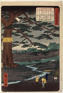 Miyuki Pine (impressão em bloco de madeira a cores) de Ando or Utagawa Hiroshige