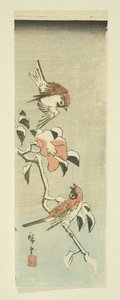 Pardais e Camélia em Snow (impressão em bloco de madeira a cores) de Ando or Utagawa Hiroshige