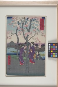 O aterro de Sumida na capital oriental (T?to: Sumida Tei) (impressão em bloco de madeira a cores) de Ando or Utagawa Hiroshige