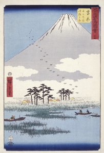 Yoshiwara: Fujinonuma Ukishimagahara (impressão em bloco de madeira) de Ando or Utagawa Hiroshige