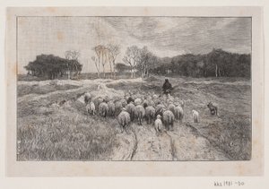 Paisagem com ovelhas e pastor de André Bork