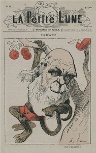 Darwin como macaco em La Petite Lune de Andre Gill