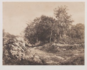 Cena sem título de Fontainbleau, c. 1853