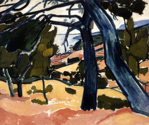 Pinede em Cassis de Andre Derain