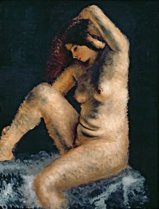O modelo bonito de Andre Derain