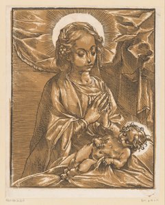 Maria adora a criança Cristo de Andrea Andreani