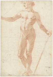 Modelo masculino nú em pé