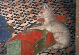 Atri, Dom, Katze - A.Delitio de Andrea Delitio