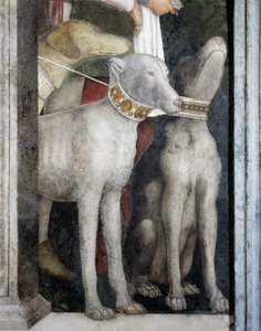 Cães molossianos, detalhe de Meeting Wall de Andrea Mantegna