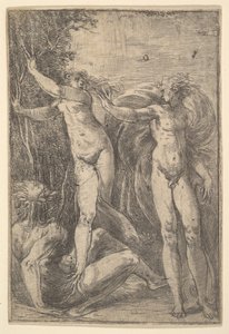 Apollo e Daphne, ca. 1538-40.