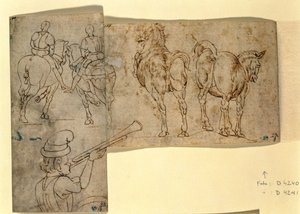 Inv no.38 recto Desenho de Cavalos, c. 1460-70 (caneta e tinta) de Andrea Verrocchio