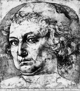 Mans cabeça, ou retrato de Andrea del Verrocchio, c.1450