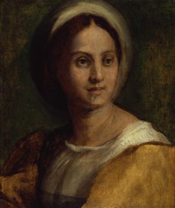 Retrato de uma jovem mulher