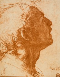 Cabeça masculina de Andrea del Sarto