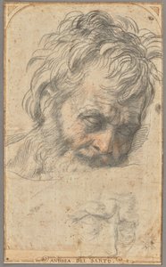 Estudo para a cabeça de São José (anverso); Dois estudos de pernas (verso) de Andrea del Sarto
