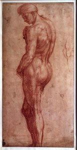 Estudo do nu masculino Desenho a la sanguínea por Andrea d