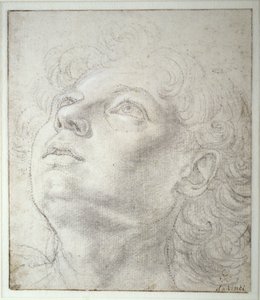 Cabeça de anjo de Andrea del Verrocchio