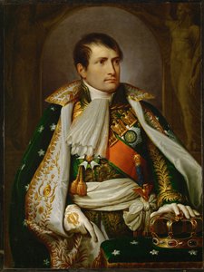 Napoleão Bonaparte de Andrea the Elder Appiani