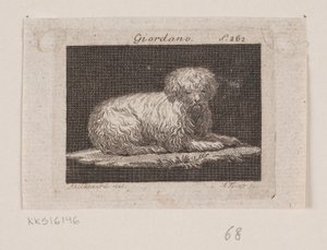 Giordano, um cão mentiroso