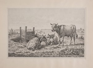 Dinamarquês: Um touro e duas vacas de Andreas Peter Madsen