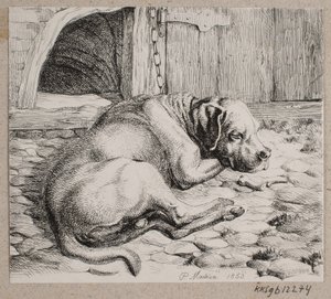 Um cão de cadeia dormindo