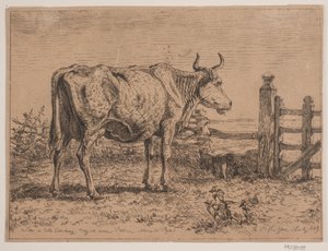 Uma vaca em pé