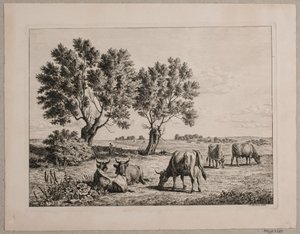 Paisagem com gado pastando