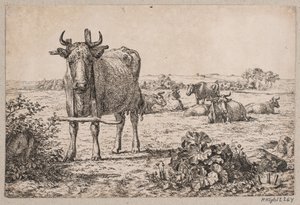 paisagem com vacas
