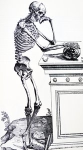 Esqueleto humano com crânio na mão. De "De Humani Corporis Fabrica" de Vesalius. Possível lenhador: Jan von Calcar