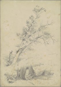 árvores, Hudson