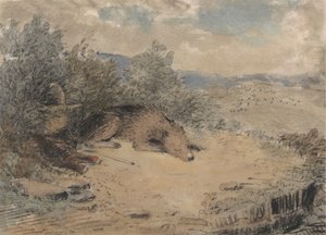 Cão pastor Adormecido numa Paisagem