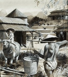 Agricultura na China (guache sobre papel) de Andrew Howat