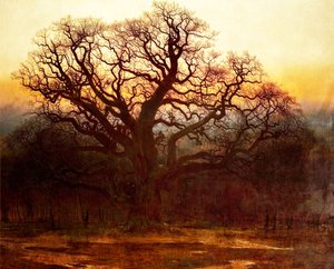 Major Oak, floresta de Sherwood, Nottinghamshire, 1882