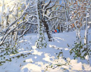 Natal trenó em Allestree Woods, 16x20, 2013