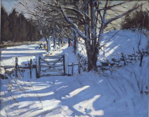 Portão perto de Youlgreave, Derbyshire de Andrew Macara