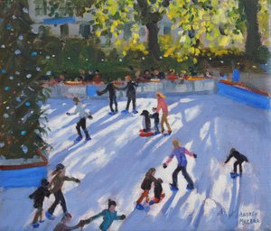 Patinação no Gelo, Museu de História Natural, 2014 de Andrew Macara