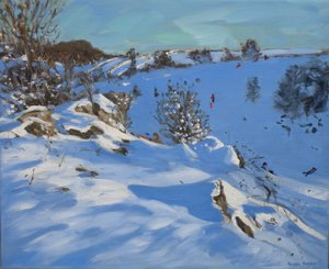 Trenós, Derbyshire, 2011 de Andrew Macara