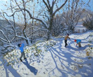 Luta de bolas de neve, 2007 de Andrew Macara