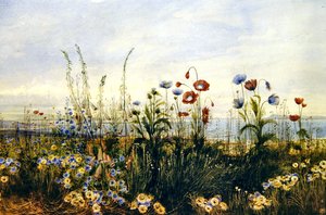 A View of Kingstown and Dublin Bay (aguarela sobre papel)
