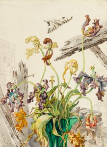 Tulipas de Andrey Avinoff