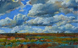 Campo de Big Sky de Andrii Kutsachenko