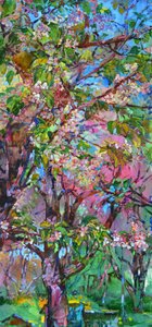 Árvore em flor na primavera de Andrii Kutsachenko