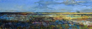Vasta paisagem de pradaria de Andrii Kutsachenko