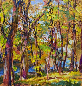 Riacho da floresta no outono colorido de Andrii Kutsachenko
